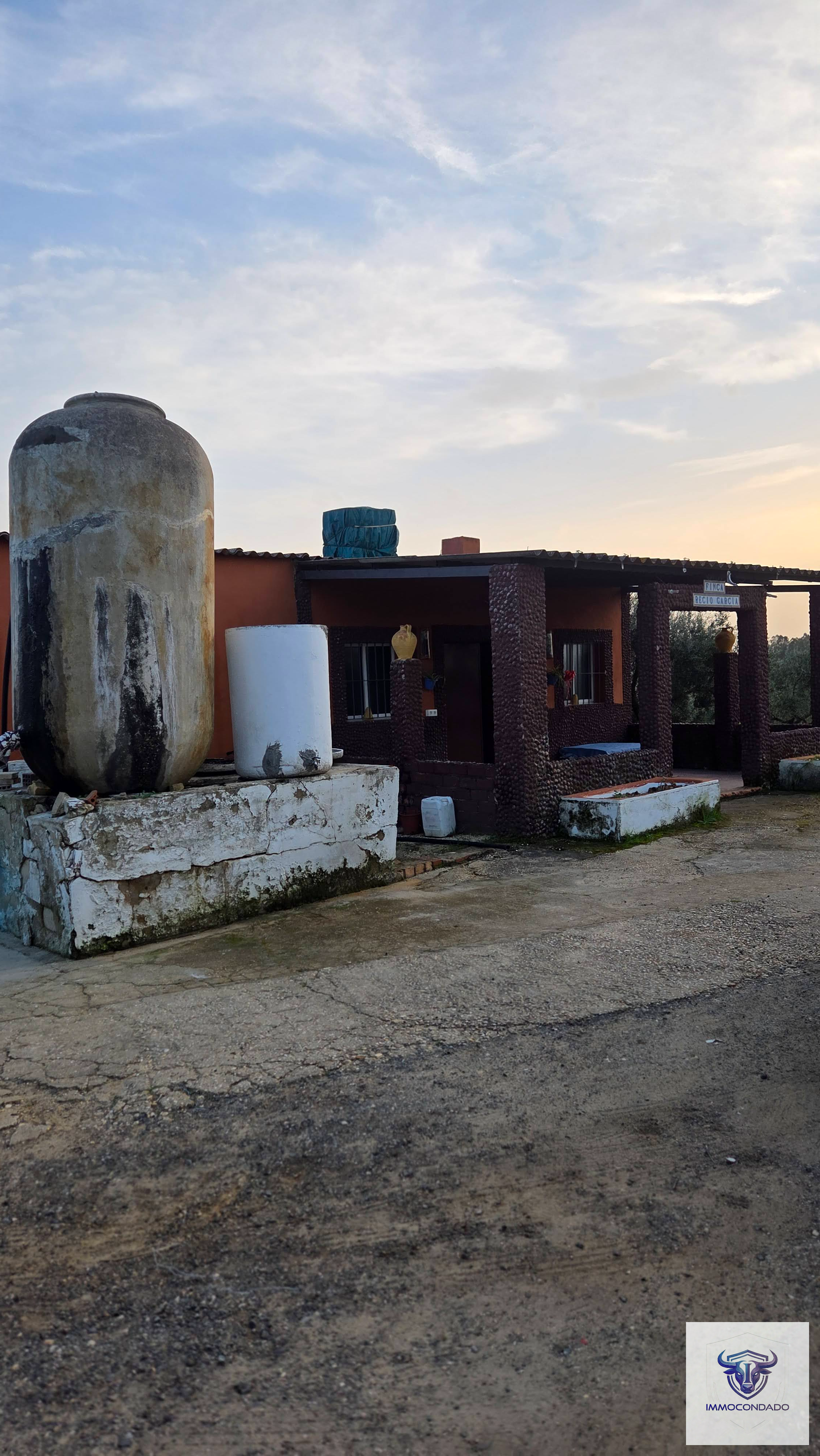 Finca Andalusien: 500 Olivenbäume, Haus & Pool